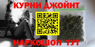 гидра Будённовск