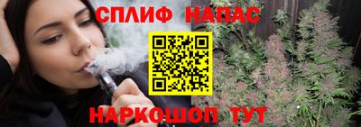 гидра Будённовск