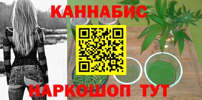 гидра Будённовск