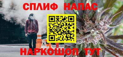 гидра Будённовск