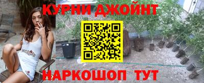 гидра Будённовск