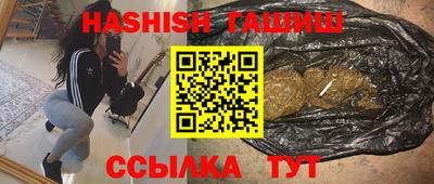 гидра Будённовск